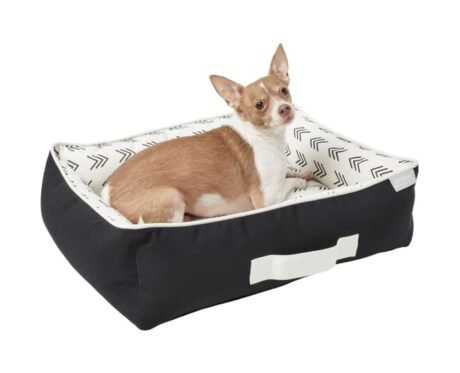 Royal Canin Modern Set for Dogs