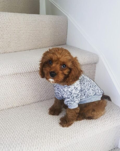 Name: Eddie